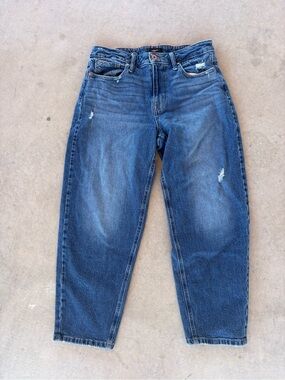 Edgely High-Rise Barrel Jean — Blue Denim